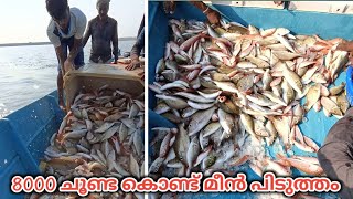 long line fishing in small boat / മട്ടു ചൂണ്ട ഉപയോഗിച്ച് മീൻ പിടിക്കുന്നത് കണ്ടാലോ #fishing #sea