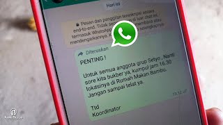 Cara Meneruskan Pesan WA di Grup