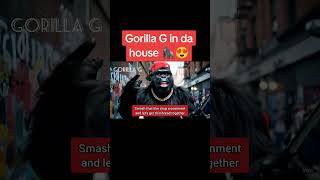 Gorilla Vlogs Straight From The Hood gorillavlog survival shorts