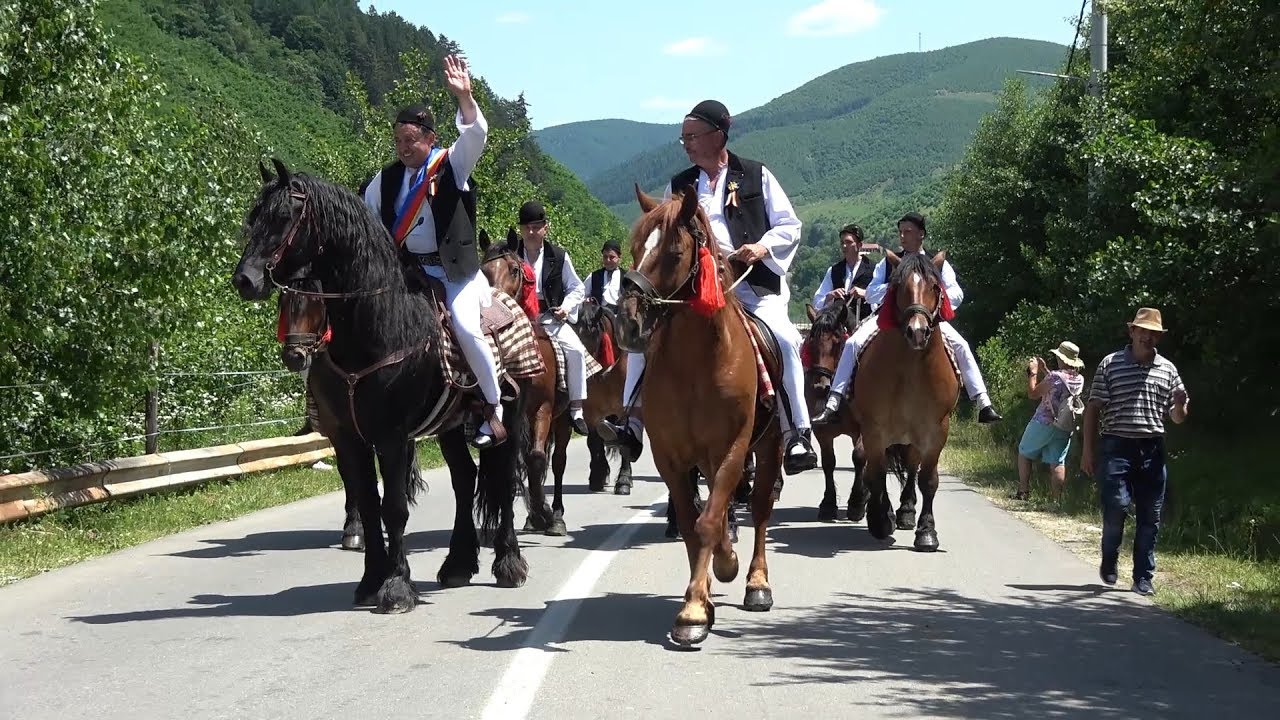 Festivalul Bujorului Gura Raului, Sibiu 30 Iunie 2019 Nou!!!