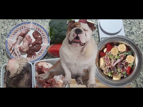 Vídeo: Quivi Pêssego Congelado Dog Treat Recipe