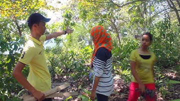 How to conduct a line transect sampling