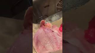 Poisson grillé au four electric sans huile sans beur essayer cette recette sa garde le goût original