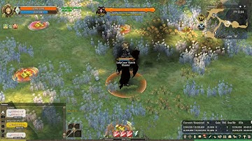 Tree of Savior (TOS) INA: Specter Monarch Skill Sorcerer Card Test