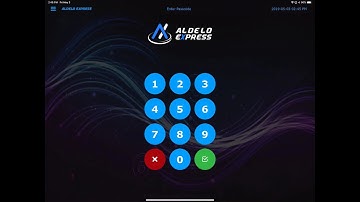 Aldelo Express Simple Delivery Order