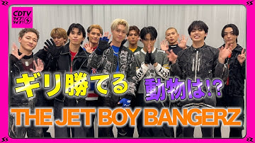 【CDTV】THE JET BOY BANGERZ⚡️ギリギリ勝てる！？🦩🐼