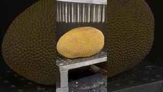 Hydraulic Press vs Jackfruit That Make You Oddly Satisfying