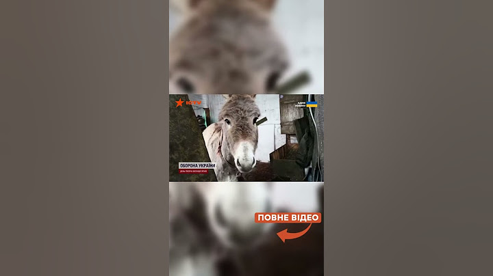 «Кінно-осляча армія» у РФ  ПРЕДСТАВЛЯЄ 🙈