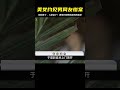 美女約見男網友，不料錢財丟了，人也。。。。#案件解說 #名偵探柯驢 #案件 #探案 #懸案 #懸疑