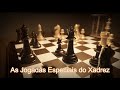 Xadrez para iniciantes as jogadas especiais do xadrez