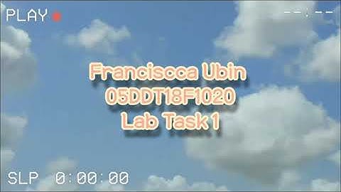 Lab Task 1 Mobile Application Development