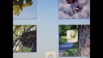 Module 4 Unit 3 Lesson 1