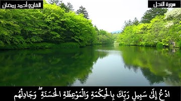 تلاوة خاشعة سورة النحل ارح قلبك