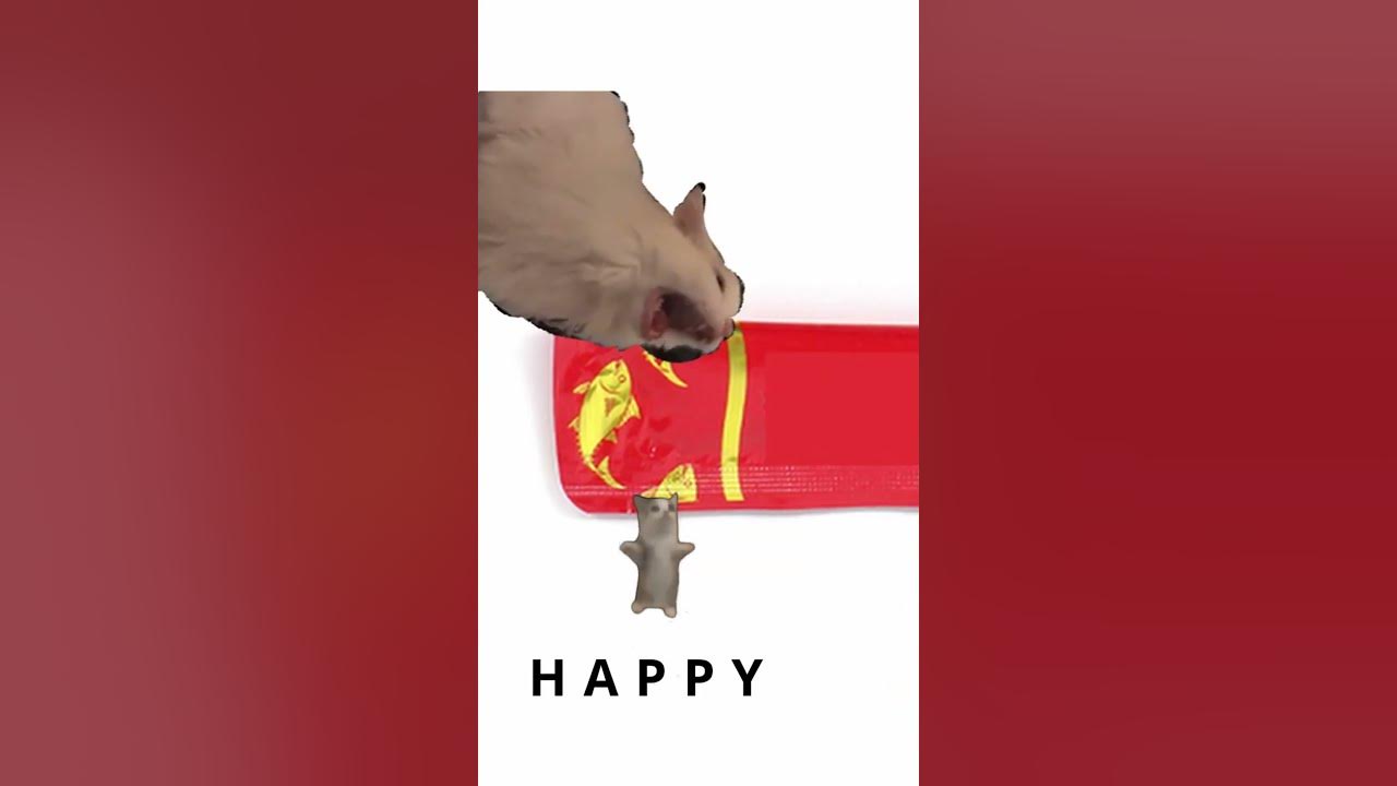 The cat is singing 'Happy song' because of churu The cat is singing 'Happy song' because of churu