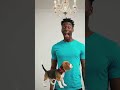 # A person#finishes a carton # dog drawing # on  a white wall #ai video