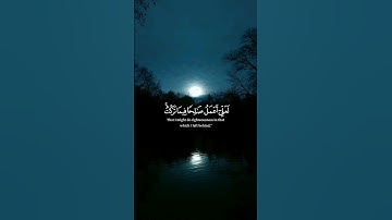 أكتب شيء تؤجر عليه 💚 | سورة المؤمنون | #ياسر_الدوسري #سورة_المؤمنون #قرآن #صلوا_على_النبي_محمدﷺ