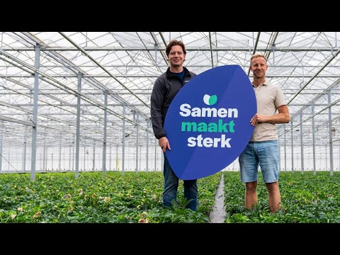 video Wat maakt de coöperatie van Royal FloraHolland sterk?
