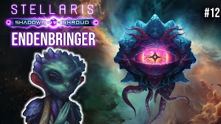 Wir BRINGEN das ENDE | #12 | Shadows of the Shroud DLC | Stellaris Let’s Play | Deutsch