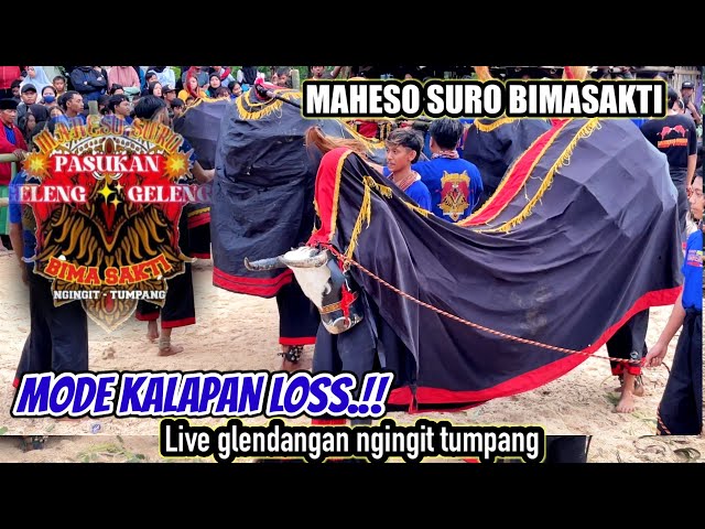 MODE MBEROT || MAHESO SURO BIMASAKTI || live ngingit glendangan tumpang 10/03/2024 malang class=