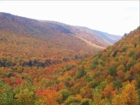 Video: Najbolje Raditi Na Kanadskom Otoku Cape Breton U Novoj Škotskoj