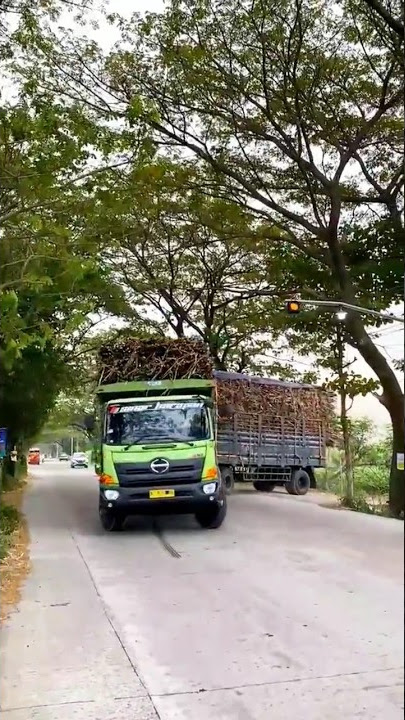 Rombongan Truk Tebu keluar kandang #shorts #short