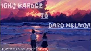 Ishq Karoge To Dard Melaiga Break up (Slowed Reverb) Lo-fi Song.