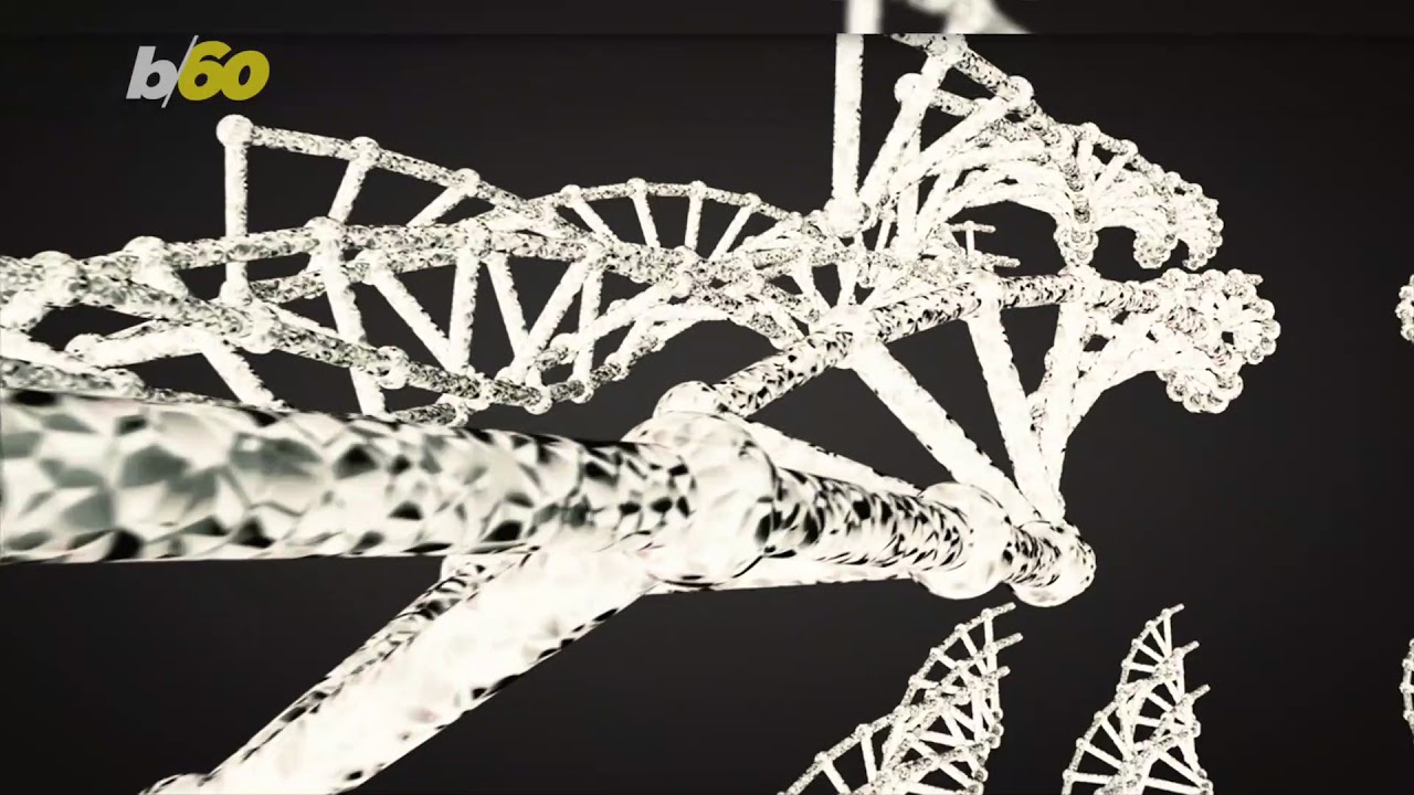 Bill Gates Donates $4M for Gene-Altered Mosquitoes That Kill With Sex