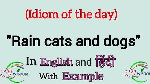 Rain cats and dogs idiom sentence example