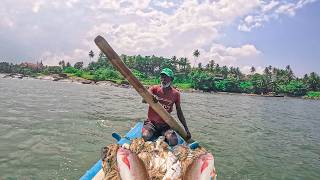 Small Boat, Massive Haul: The Art of Traditional Solo Net Fishing
