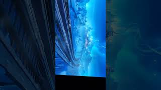 Snezhnaya New Trailer. #genshinimpact #hoyocreators #genshinimpactedit #wuwa