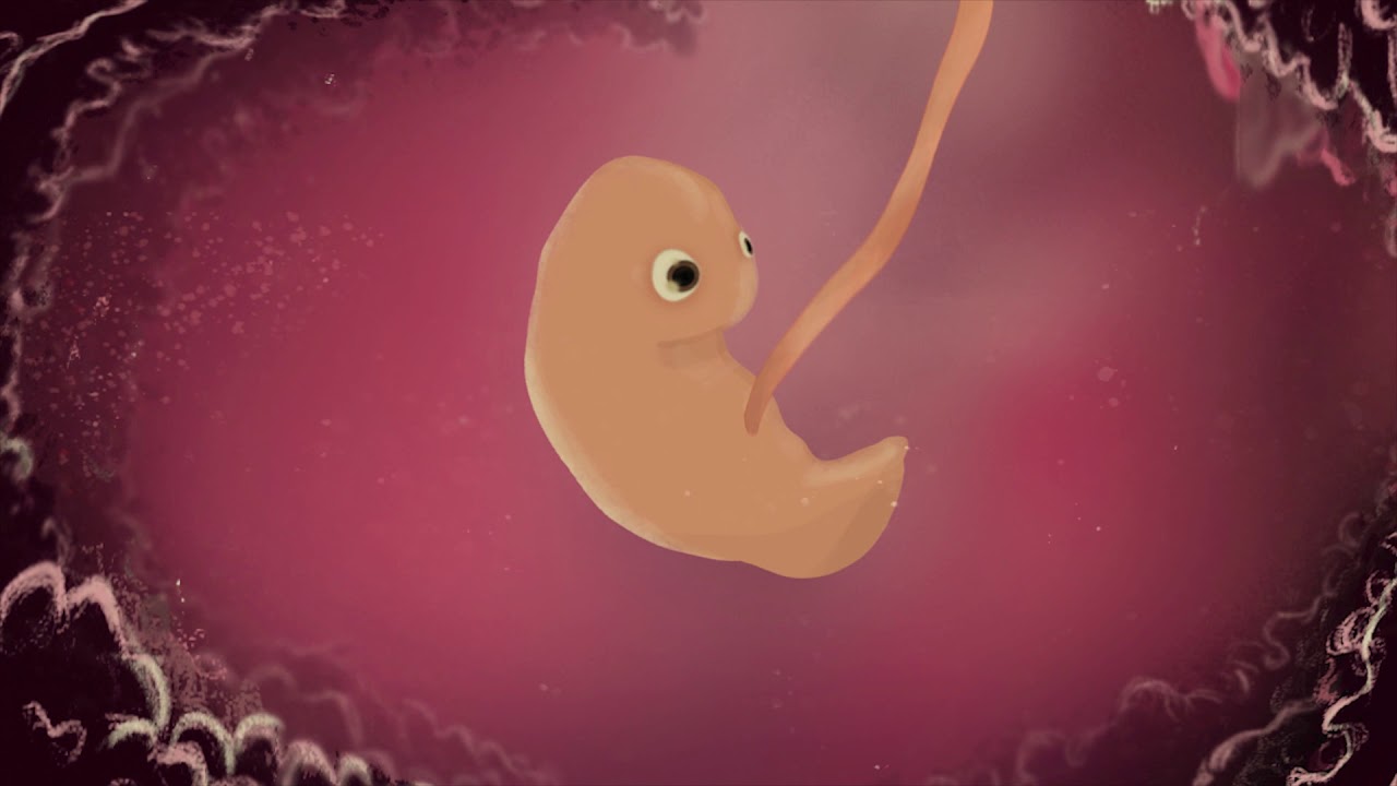 NUNU  Animaziozko film laburra  Maddi Lopez