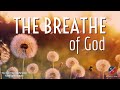 The Breathe of God - Dr. Kevin Zadai