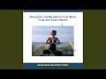 Relaxation and Meditation Flute Music - Flute With Ocean Waves (Track 6)