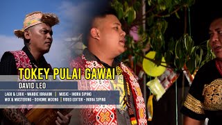 Tokey Pulai Gawai - David Ileo #TwinToneProduction / MV official