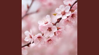 Luminous Petals