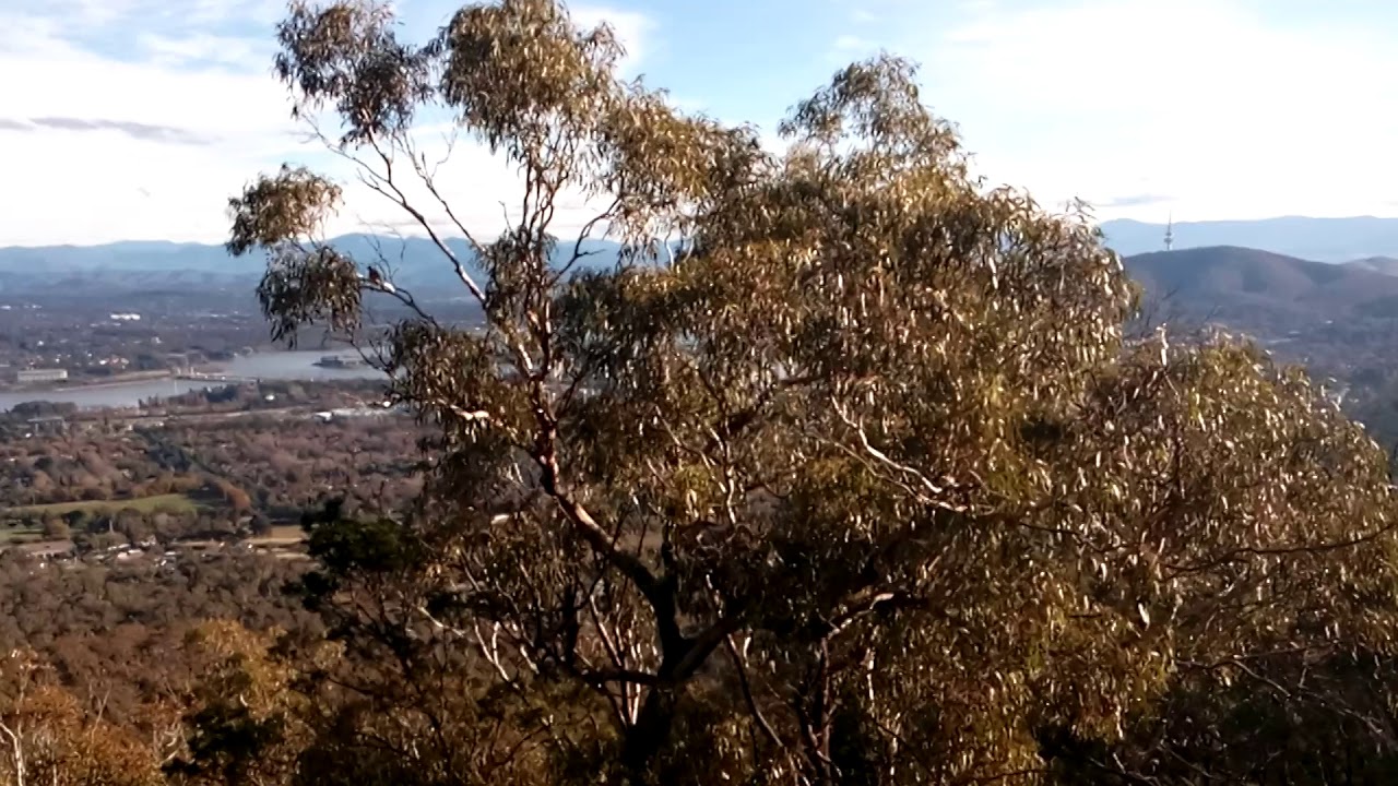 Which part of Australia is this? - YouTube