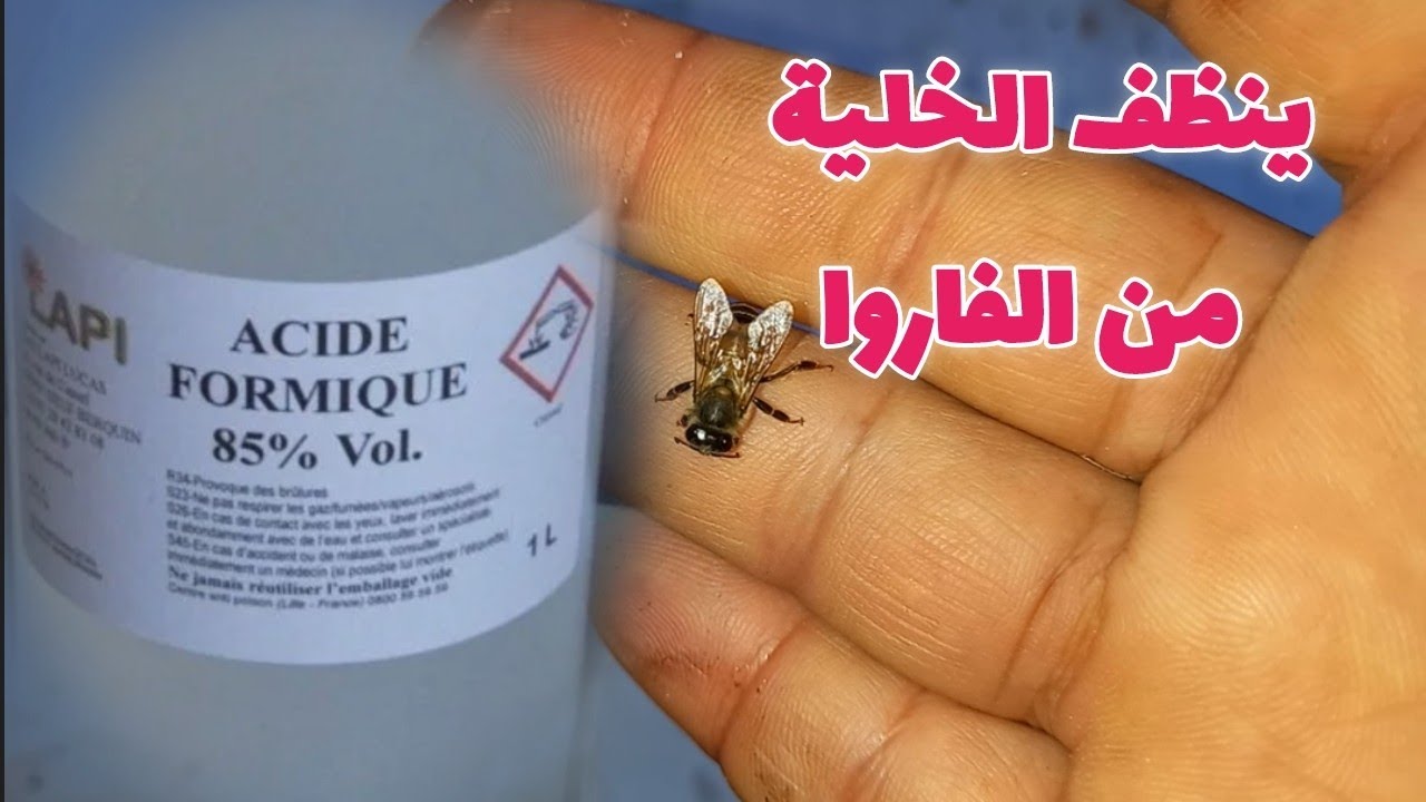 الفاروا ..... وطريقة العلاج الفعالة بحمض الفورميك acide formique