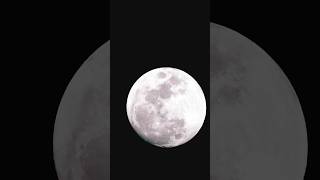 The full pink moon : April 1, 2026  #fullmoon #pinkmoon #2026