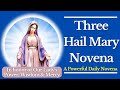 The 3 hail mary novena  a powerful daily novena