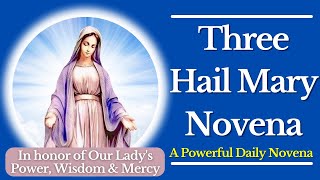 The 3 Hail Mary Novena  A Powerful Daily Novena