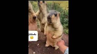 can you imagine #viralvideo #comedy #pass #comedymovies #passtime #comedyfilms #shortvideo #funny