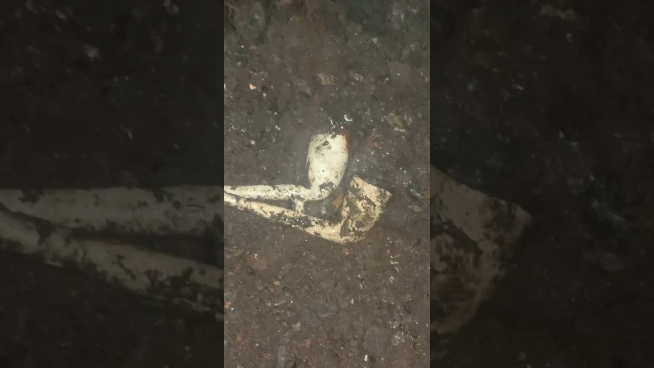 victorian clay pipes found bottle digging Glasgow Scotland