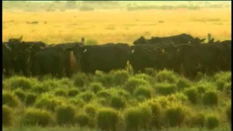 2011 BQA Winner (C2C)