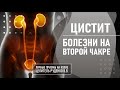 Цистит. Болезни на второй чакре. Руденко В.В. Академия Целителей