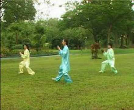 Basic Taiji Quan Routine -