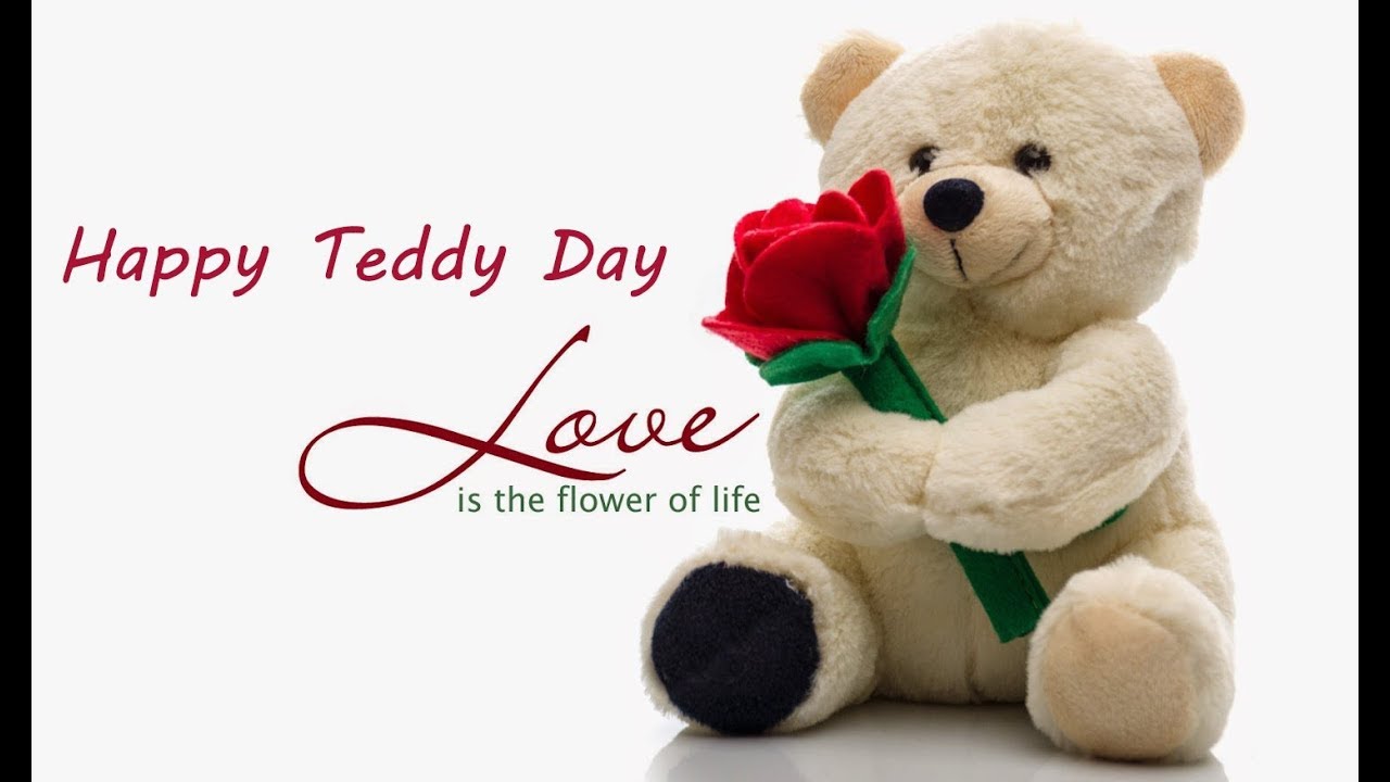 teddy day in february