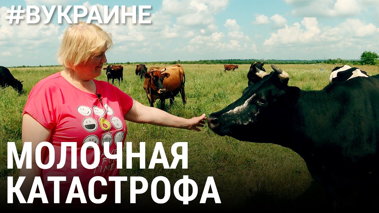 Молочная катастрофа | #ВУКРАИНЕ