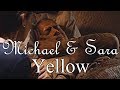 Yellow - Michael & Sara