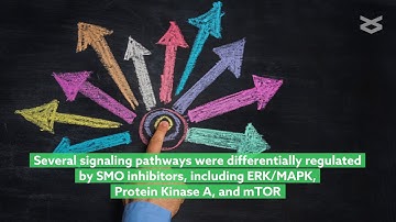 Regulation of the Hedgehog signaling pathway in medulloblastoma