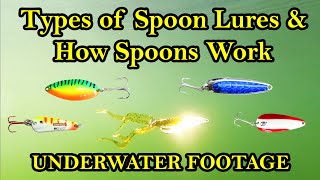 Types of Spoon Fishing Lures and How They Work Underwater - spoon fishing tips and history